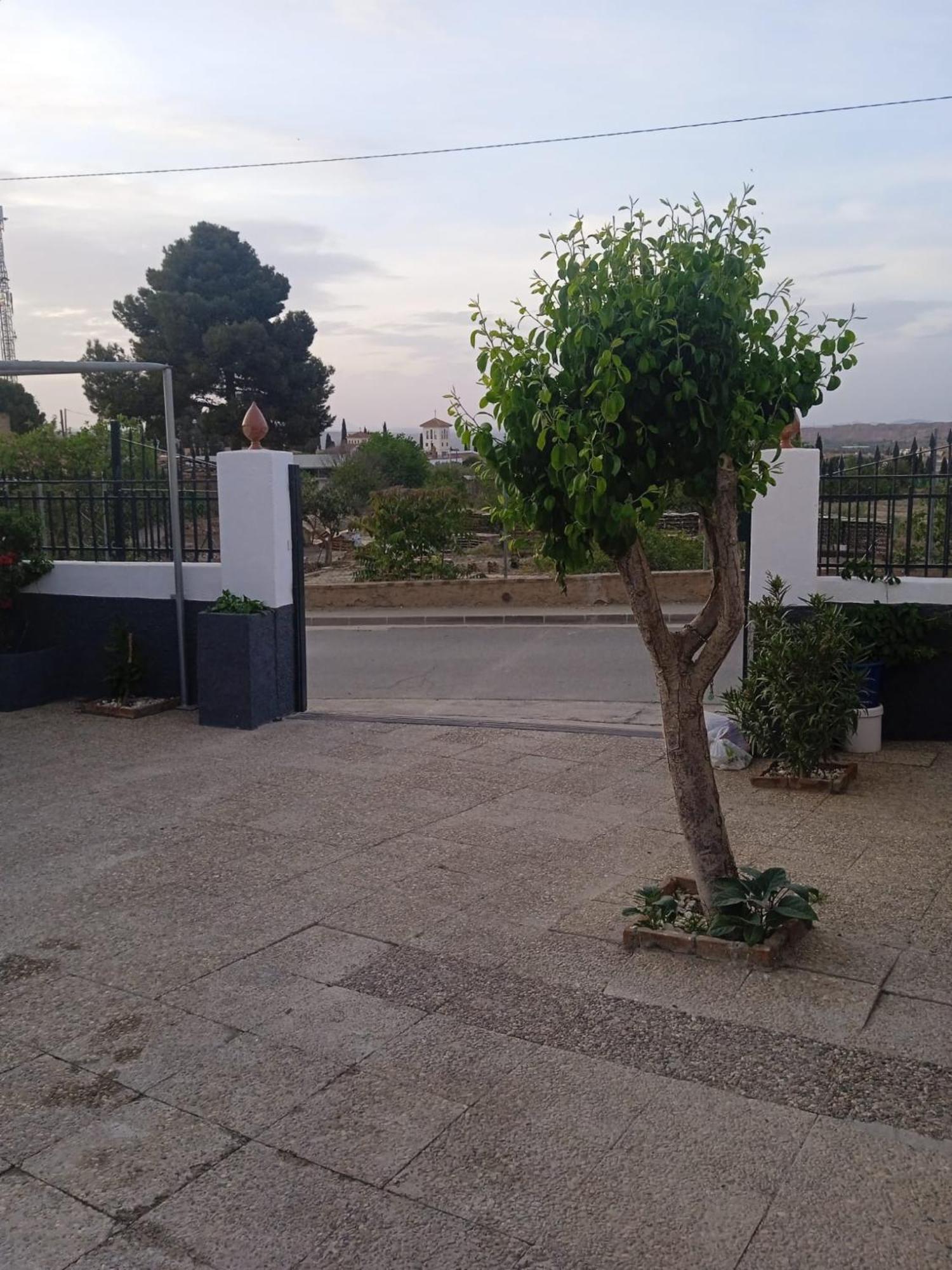 הוילה La Cueva De גואדיקס מראה חיצוני תמונה